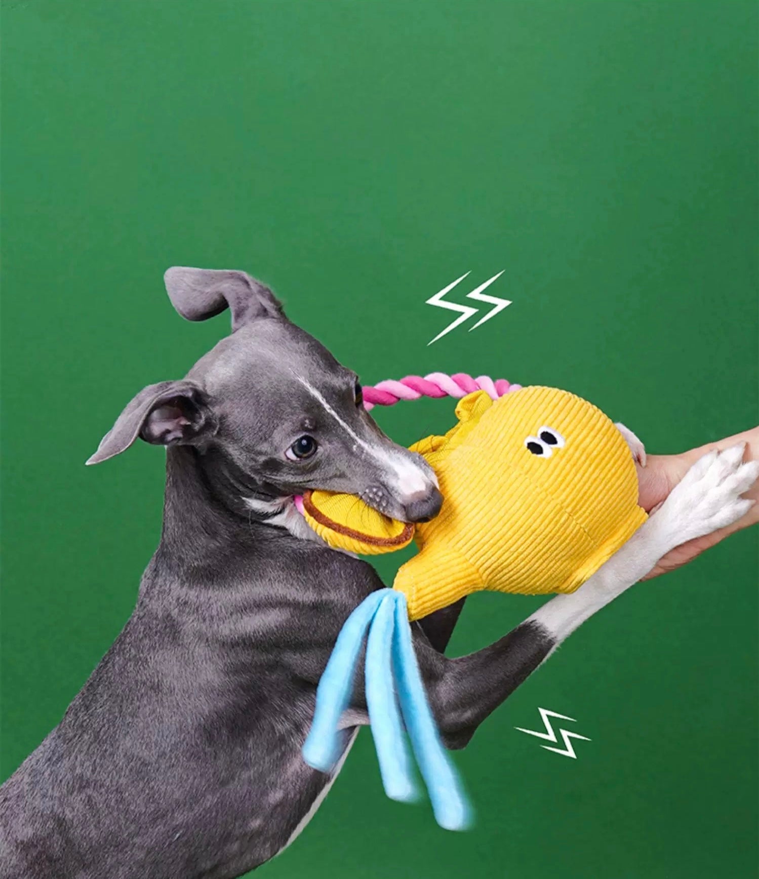 Squeak squeak when the dog bites