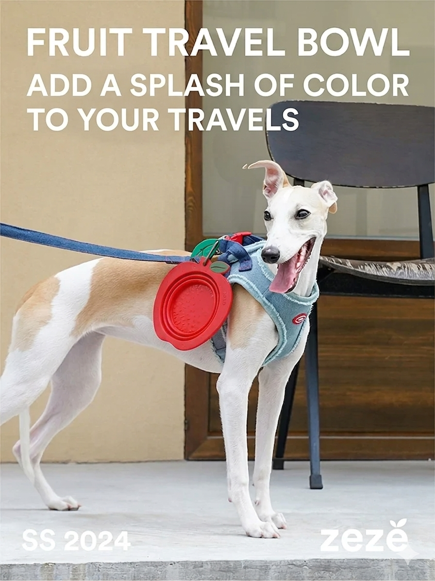Zeze Apple Silicone Folding Pet Bowl