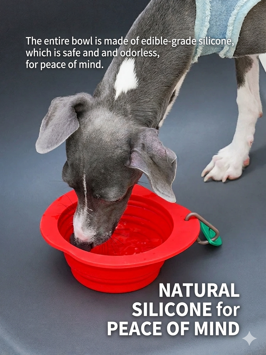 Zeze Apple Silicone Folding Pet Bowl