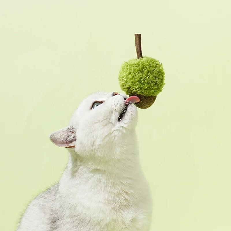 zeze cat toys wood heavenly smartweed mint ball teeth grinding teeth cleaning cat self-hi toyskitten teasing cat stick pet supplies