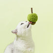 zeze cat toys wood heavenly smartweed mint ball teeth grinding teeth cleaning cat self-hi toyskitten teasing cat stick pet supplies