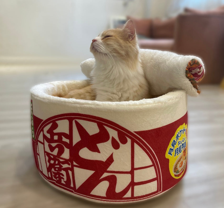 Cup Noodle Pet Bed - Cat Bed