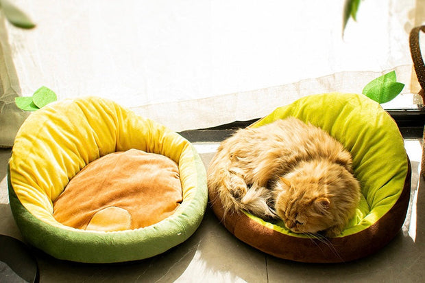 Pineapple/ Avocado Pet Bed - Cat Bed
